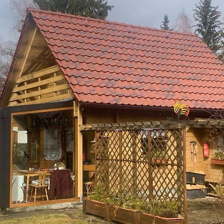 Holzhaus Mit Direktem Wasserzugang In Berlin-Koepenick Exteriör bild